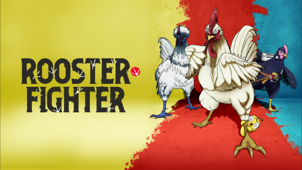 rooster fighter